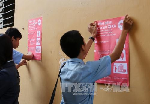 Các em học sinh dán tờ rơi tuyên truyền phòng chống dịch bệnh do vi rút zika, sốt xuất tại TP Huế. Ảnh: Hồ Cầu/TTXVN