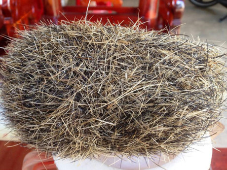 Một gia đình ở Nghệ An mổ lợn nái lấy thịt bất ngờ phát hiện trong dạ dày có vật lạ nặng khoảng 0,5 kg, màu nâu và đen trắng. 