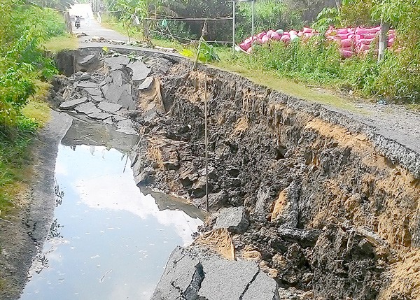 Tình trạng sụp lún đất tràn lan trên địa bàn Cà Mau