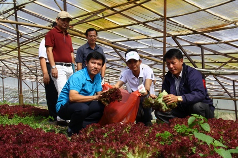 Đoàn doanh nghiệp Hội Doanh nhân trẻ tham quan mô hình nông nghiệp công nghệ cao tại Lâm Đồng.