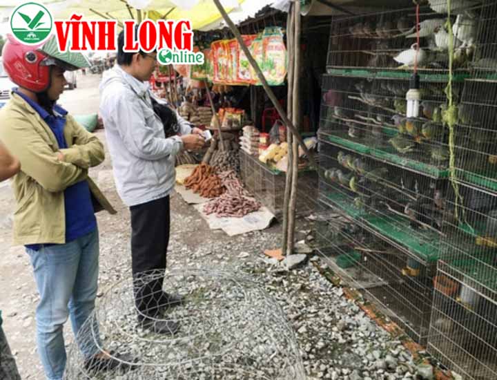 Khu chợ cách trung tâm hành chính huyện Thạnh Hóa (Long An) hơn 1km. Đây được xem là chợ chim lớn nhất miền Tây luôn tấp nập người mua, kẻ bán.
