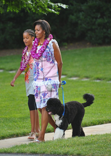 Phu nhân Michelle dắt chó Bo đi dạo trong khuôn viên Nhà Trắng trong bộ trang phục giống như đang dự một bữa tiệc tại Hawai.