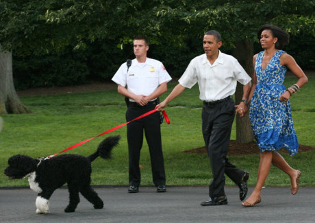 Hai vợ chồng Tổng thống Obama cùng dắt chó Bo đi dạo.