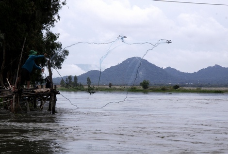 Nước ở khu vực xã Vĩnh Tế còn rất ít, nhưng nông dân cũng thi nhau ra đập chài cá.