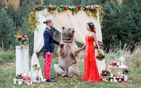 Chú gấu Stepan nặng 140 kg, cao 2,1 m. (Nguồn: Caters News Agency)