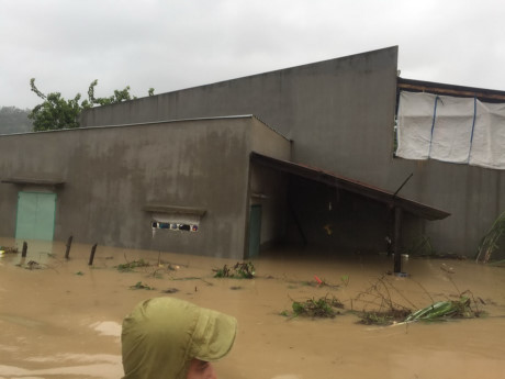 Một nhà dân ở phường Trần Quang Diệu, thành phố Quy Nhơn nước lũ ngập hơn nửa nhà