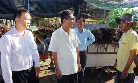  Phó Chủ tịch Thường trực UBND tỉnh- Lê Quang Trung khảo sát trang trại nuôi bò Út Nghiệp