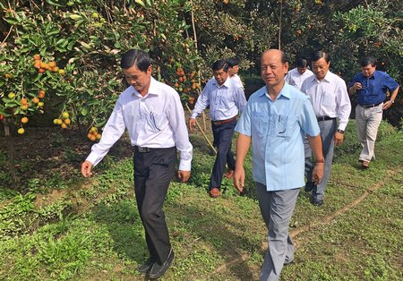  Phó Bí thư Thường trực Tỉnh ủy- Trương Văn Sáu tham quan vườn sản xuất của các xã viên HTX.