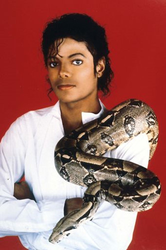 Nổi tiếng với thú vui sưu tập những loài động vật quái lạ, Michael chụp hình cùng thú cưng là một con trăn vào năm 1987.