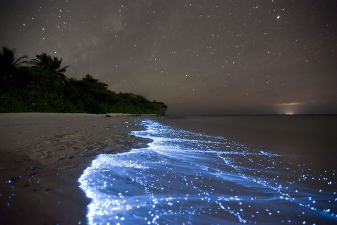 Biển phát quang trên đảo Vaadhoo, Maldives: Cảnh tượng tuyệt đẹp như chỉ có trong những câu chuyện cổ tích này lại có thể tìm thấy tại đảo Vaadhoo, Maldives. Những sinh vật phù du phát sáng trong nước biển khiến cả vùng biển trông giống như tấm gương khổng lồ phản chiếu ánh sao trên bầu trời.