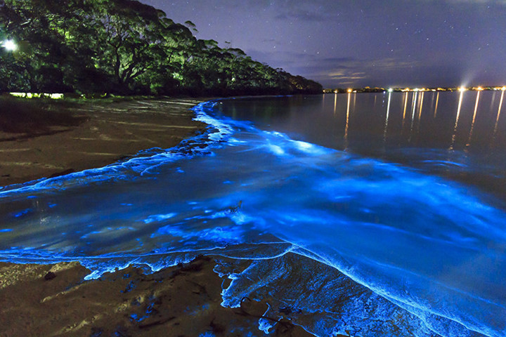 Vào ban đêm, các vùng nước ven biển của đảo Vaadhoo, Maldives lại được bao phủ bởi hàng ngàn ngọn đèn xanh. Nguồn ánh sáng này xuất phát từ một loài sinh vật phù du. Ảnh: Tripelona.com