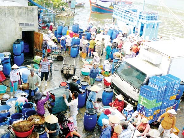Một chợ cá tại Khánh Hòa trong mùa biển động