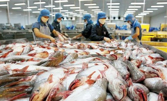 Hoa Kỳ, Nhật Bản, Trung Quốc và Hàn Quốc là 4 thị trường nhập khẩu hàng đầu của thủy sản Việt Nam trong 10 tháng đầu năm 2016, chiếm 54,1% tổng giá trị xuất khẩu thủy sản. (Ảnh: Tiền Phong)