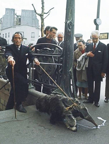 Nghệ sĩ Salvador Dali gây ấn tượng khi dắt thú cưng là một con thú ăn kiến khổng lồ đi dạo.