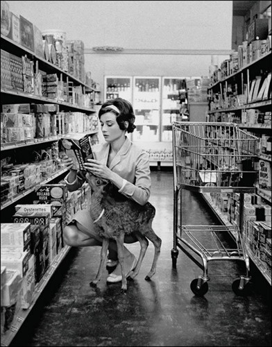 Audrey Hepburn đang đi mua sắm cùng thú cưng của mình là một con hươu vào năm 1958.