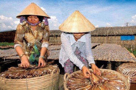 Người làm khô chủ yếu là phụ nữ, với mức tiền công dao động từ 150.000-300.000 đồng/ngày.