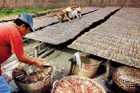 Cơ sở sản xuất khô của anh Trần Tiến, mỗi ngày, xuất bán khoảng 5 tấn cá khô các loại. Giá bán cá khô mặn hiện dao động từ 25.000-300.000 đồng/kg tuỳ loại.
