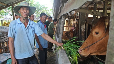Anh Trần Văn Mười (bìa trái) được giúp vốn nuôi bò để vươn lên.