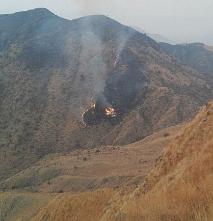 Chiếc máy bay đã đâm xuống một sườn núi ở tại khu vực Havelian.