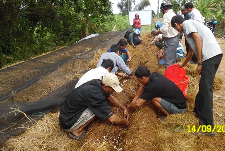 Mô hình trồng nấm rơm ở Trung Thành Tây trong một khóa đào tạo nghề cho lao động nông thôn.