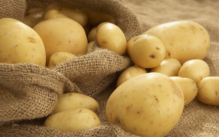 Khoai tây: Trong môi trường lạnh, tinh bột trong khoai tây dễ dàng bị chuyển thành đường làm giảm hương vị thơm ngon.