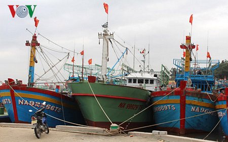 Tàu cá của ngư dân Trần Xuân Danh, ở xã Quỳnh Long đánh bắt được 5 tấn cá hố xuất khẩu, thu về 530 triệu đồng/đêm.
