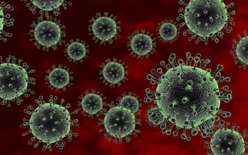 Bệnh cúm A H5N1 là bệnh truyền nhiễm cấp tính đặc biệt nguy hiểm, do virus cúm type A, chủng H5N1, thuộc họ Orthomyxoviridae gây ra.