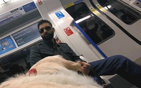 Anh Patel và Kika trên một chuyến tàu điện ngầm. Ảnh: BBC