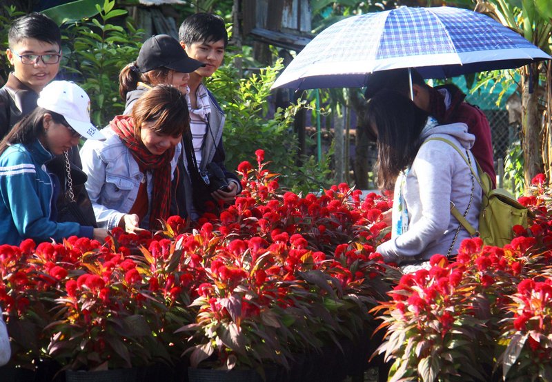 Hàng ngàn du khách về tham quan làng hoa ngay những ngày đầu tiên của Tuần lễ du lịch, mỗi vườn hoa đều rất đông khách.