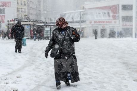 Tuyết rơi dày đặc ở Istanbul, Thổ Nhĩ Kỳ ngày 7/1. (Nguồn: AFP/TTXVN)