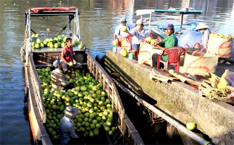Trái cây ở các tỉnh lân cận như: Vĩnh Long, Bến Tre... thường được vận chuyển đến chợ bằng đường thủy.
