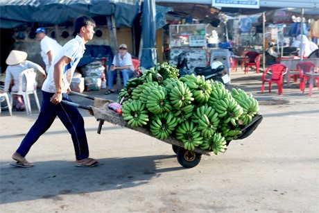 Chợ trái cây đầu mối Vĩnh Kim giải quyết cho hàng trăm lao động ở địa phương có việc làm ổn định. Những chiếc xe đẩy chính là “mạch máu” lưu thông hàng hóa trái cây của chợ.