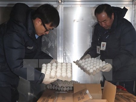 Nhân viên kiểm tra số trứng nhập khẩu từ Mỹ tại sân bay quốc tế Incheon. (Nguồn: Yonhap/TTXVN)