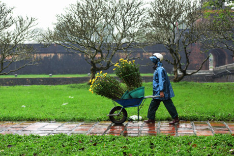 Vận chuyển hoa vào chợ hoa Phu Văn Lâu.