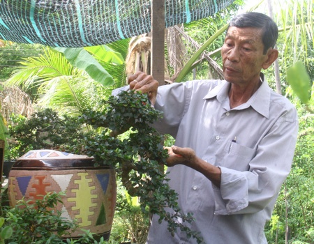 Nghệ nhân cấp quốc gia Nguyễn Văn Mẫn. Những tác phẩm bonsai tạo lũa của Đình Toàn.