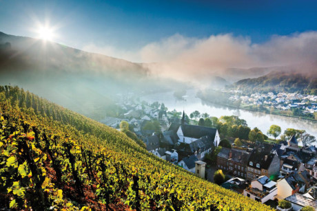 Góc nhìn thung lũng sông Moselle xinh đẹp ở Đức từ những vườn nho trên đồi. (Nguồn: NatGeo)