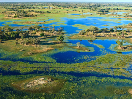Đồng bằng Okavango, Bostawana: Đồng bằng Okavango không chỉ có cảnh quan tuyệt sắc mà còn là nơi sinh sống của nhiều loài động vật hoang dã như báo, ngựa vằn, tê giác, trâu rừng.