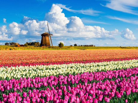 Công viên Keukenhof, Hà Lan: Hà Lan được cả thế giới biết đến là xứ sở của loài hoa Tulip với đầy đủ những sắc hoa khác nhau, đặc biệt là ở khu vực công viên Keukenhof. Hàng triệu bóng đèn được thắp sáng tại công viên này mỗi năm vào dịp giữa tháng tư - thời điểm hoa Tulip nở và cũng là dịp du khách tới tham quan nhiều nhất trong năm.