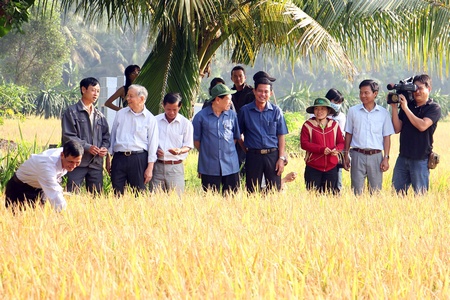 Sản xuất lúa hữu cơ có ý nghĩa rất lớn trong phát triển kinh tế- xã hội và bảo vệ môi trường.