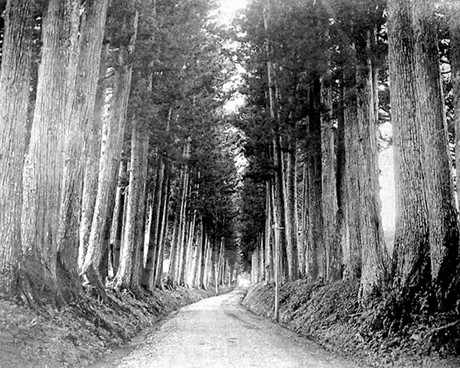 Louis-Jules Dumoulin mê mẩn với những cánh rừng - Nikko (1897). (Ảnh: KTS Đoàn Bắc cung cấp)