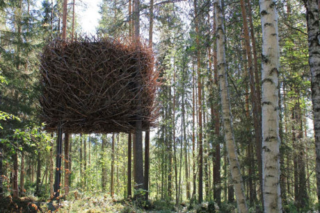 Nhà hình tổ chim, Thụy Điển: chiếc tổ chim khổng lồ giữa rừng này sẽ khiến bạn phải ngạc nhiên vì sự tiện nghi bên trong mà nó đem lại.