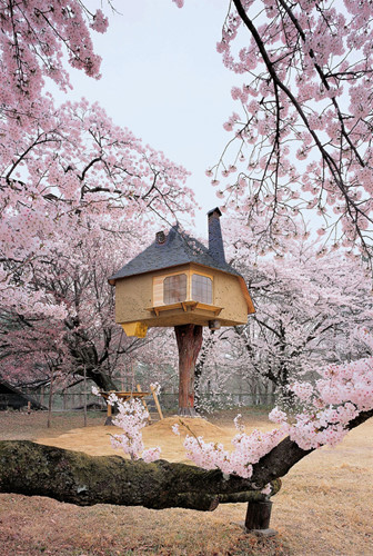Ngôi nhà trong vườn hoa anh đào, Nhật Bản: được thiết kế bởi kiến trúc sư Terunobu Fujimori. Nơi đây trở nên tuyệt vời hơn mỗi khi mùa xuân đến.