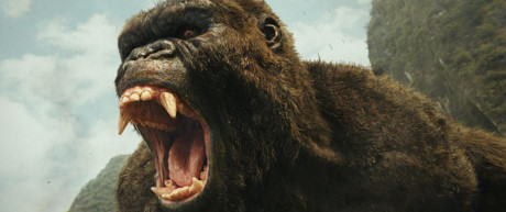 Mặc dù chúa tể Kong là nỗi kinh hoàng với muông thú, nhưng người xem vẫn sẽ cảm thấy đồng cảm với Kong. Xét trên một phương diện nào đó thì Kong giống như một người hùng, một “soái ca” đúng nghĩa, khi bảo vệ đoàn thám hiểm khỏi những sinh vật nguy hiểm khác. 