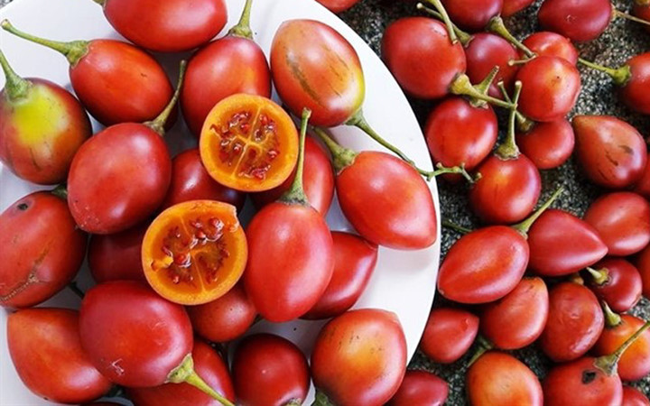 Quả có nhiều thịt, hình bầu dục, khi chín có màu cam hoặc đỏ, vị chua chua ngọt ngọt, giàu vitamin và khoáng chất (Ảnh: Zing)