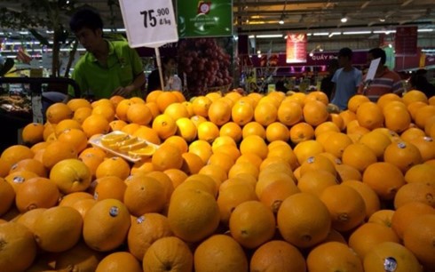 Các loại táo, lê Hàn Quốc được bày bán tại siêu thị có giá khác nhau, mức giá chênh lệch rất lớn.