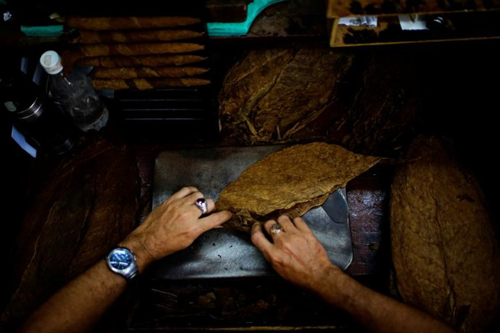 Quá trình cuốn lá cây thuốc lá đòi hỏi rất nhiều sự khéo léo và kiên trì của người lao động. Ảnh: Reuters
