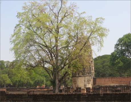 Cố đô Sukhothai với các điểm dừng chân như: Đền Hoàng gia Wat Mahathat, Phật đường, Bảo tàng quốc gia Ramkhamhaeng và các thành lũy, kênh đào…