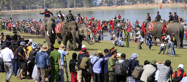 Hàng ngàn người đội nắng đến xem các chú voi tranh tài tại Hồ Lắk  