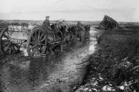 Ngựa kéo xe chở đạn vượt bùn lầy dọc theo đường Lesboeuf, tháng 11/1916.