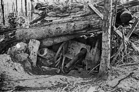 Một khẩu pháo của Đức bị vùi lấp dưới các cây bật gốc ở cánh rừng Louage trong một cuộc tấn công của phe Hiệp ước./.